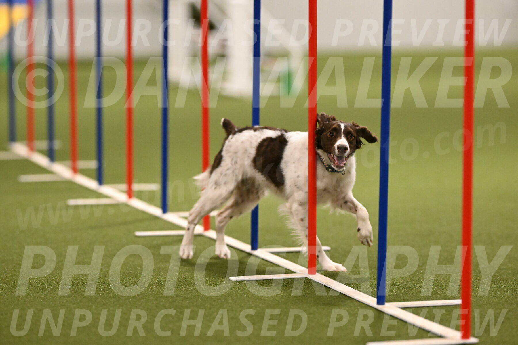 Karma-Sandy-and-Jeff-Crighton-03317