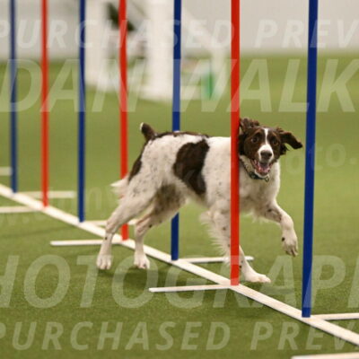 Karma-Sandy-and-Jeff-Crighton-03317