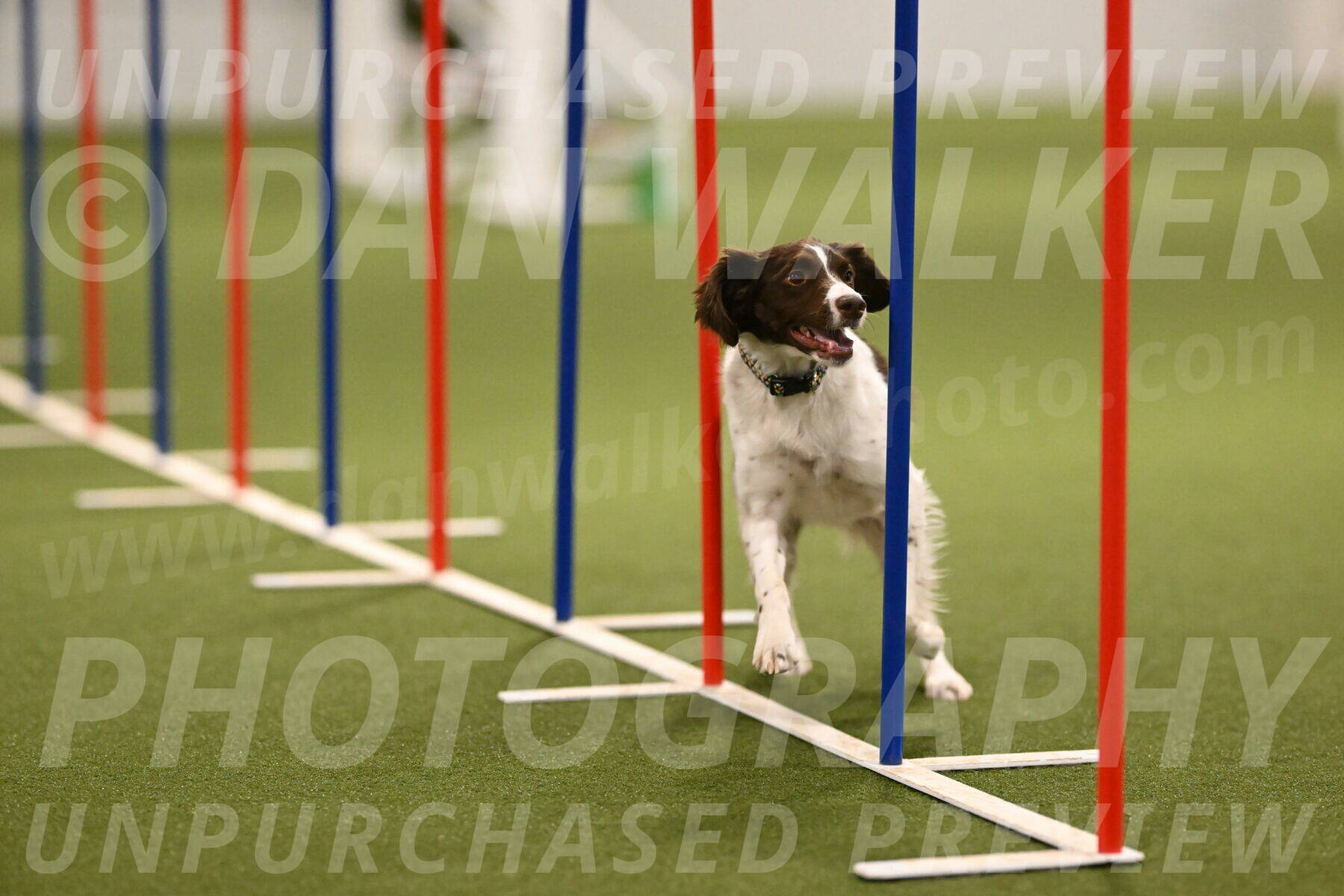 Karma-Sandy-and-Jeff-Crighton-03318