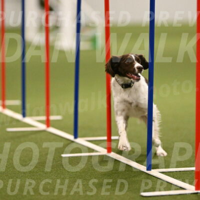 Karma-Sandy-and-Jeff-Crighton-03318