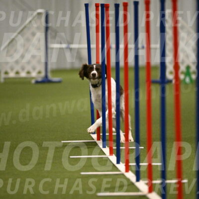 Karma-Sandy-and-Jeff-Crighton-03319