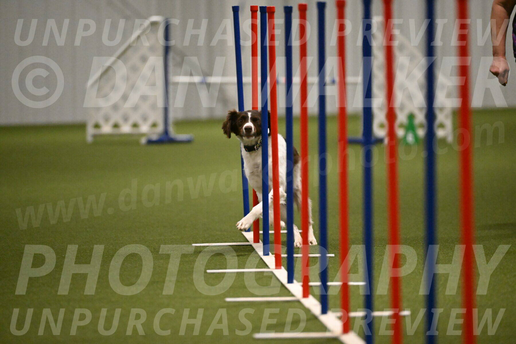 Karma-Sandy-and-Jeff-Crighton-03319