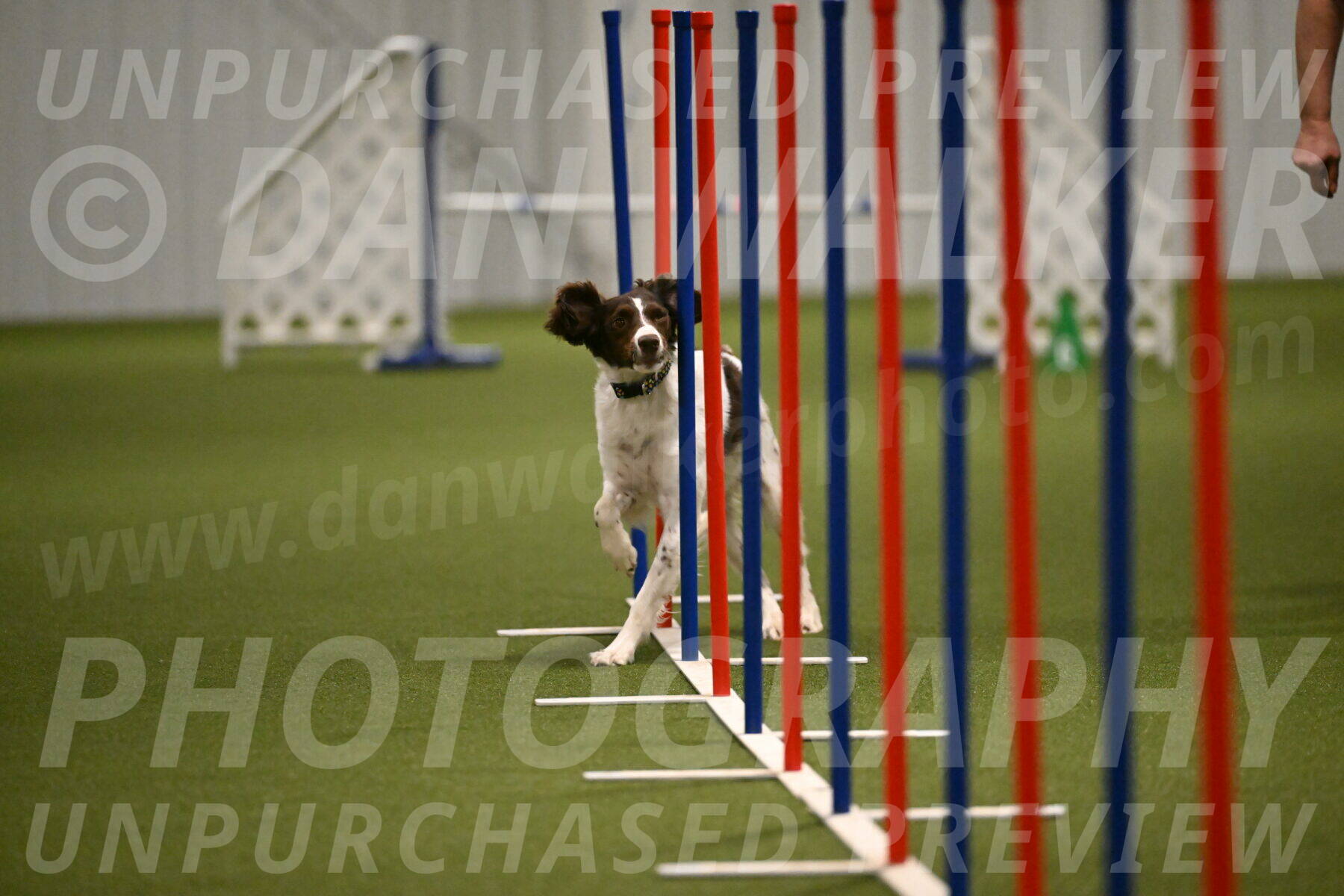 Karma-Sandy-and-Jeff-Crighton-03320