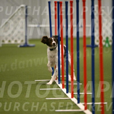 Karma-Sandy-and-Jeff-Crighton-03320