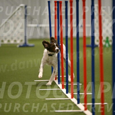 Karma-Sandy-and-Jeff-Crighton-03321