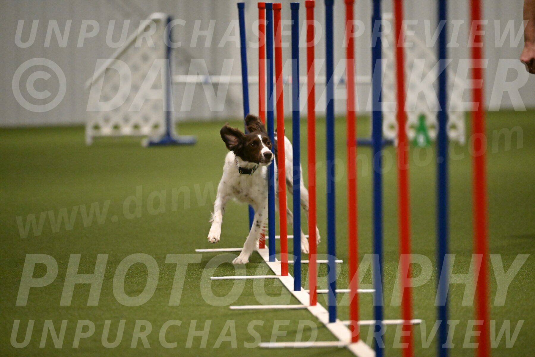 Karma-Sandy-and-Jeff-Crighton-03321