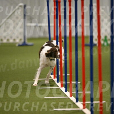 Karma-Sandy-and-Jeff-Crighton-03322