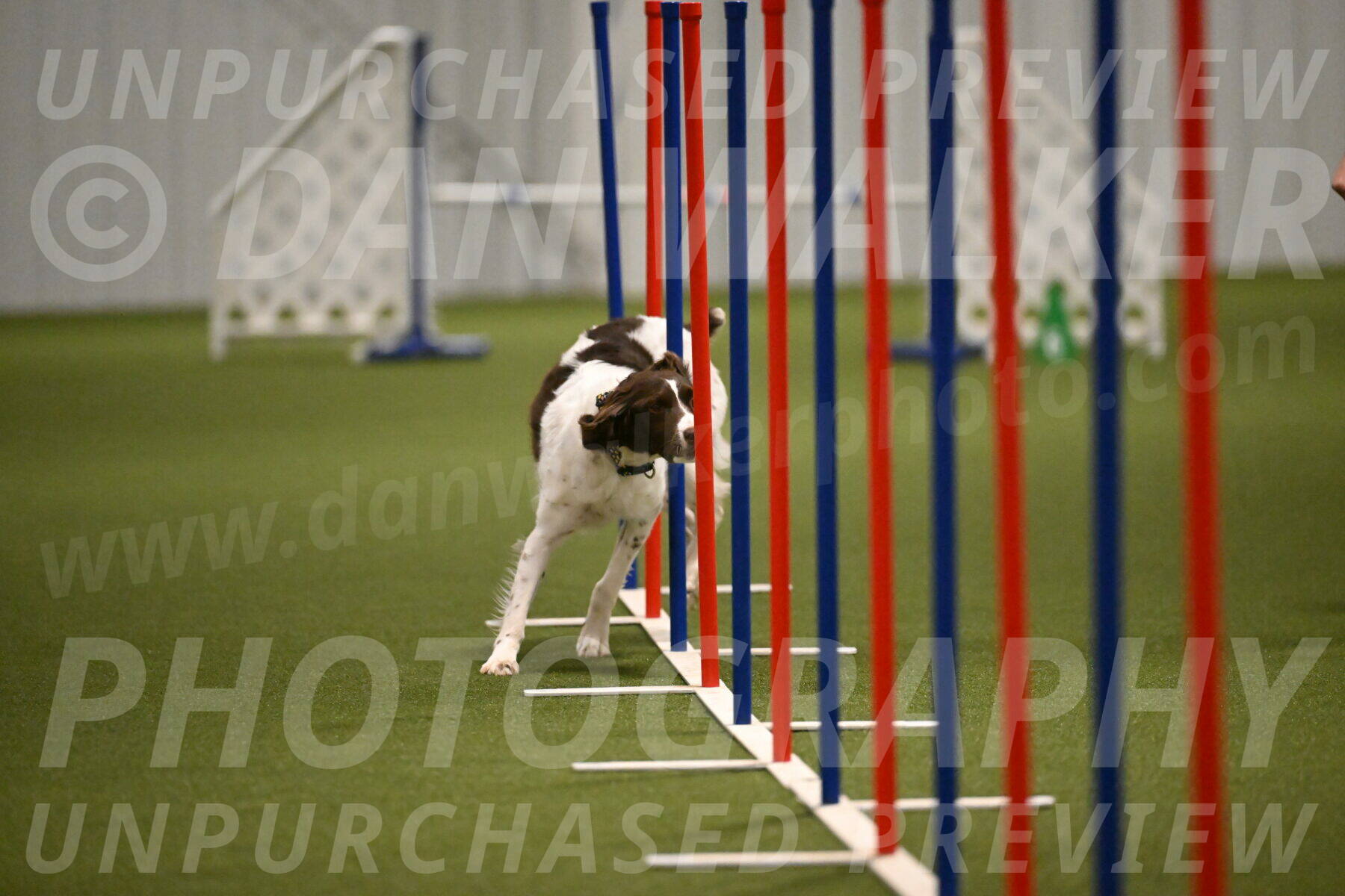 Karma-Sandy-and-Jeff-Crighton-03322