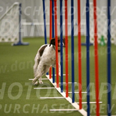 Karma-Sandy-and-Jeff-Crighton-03323