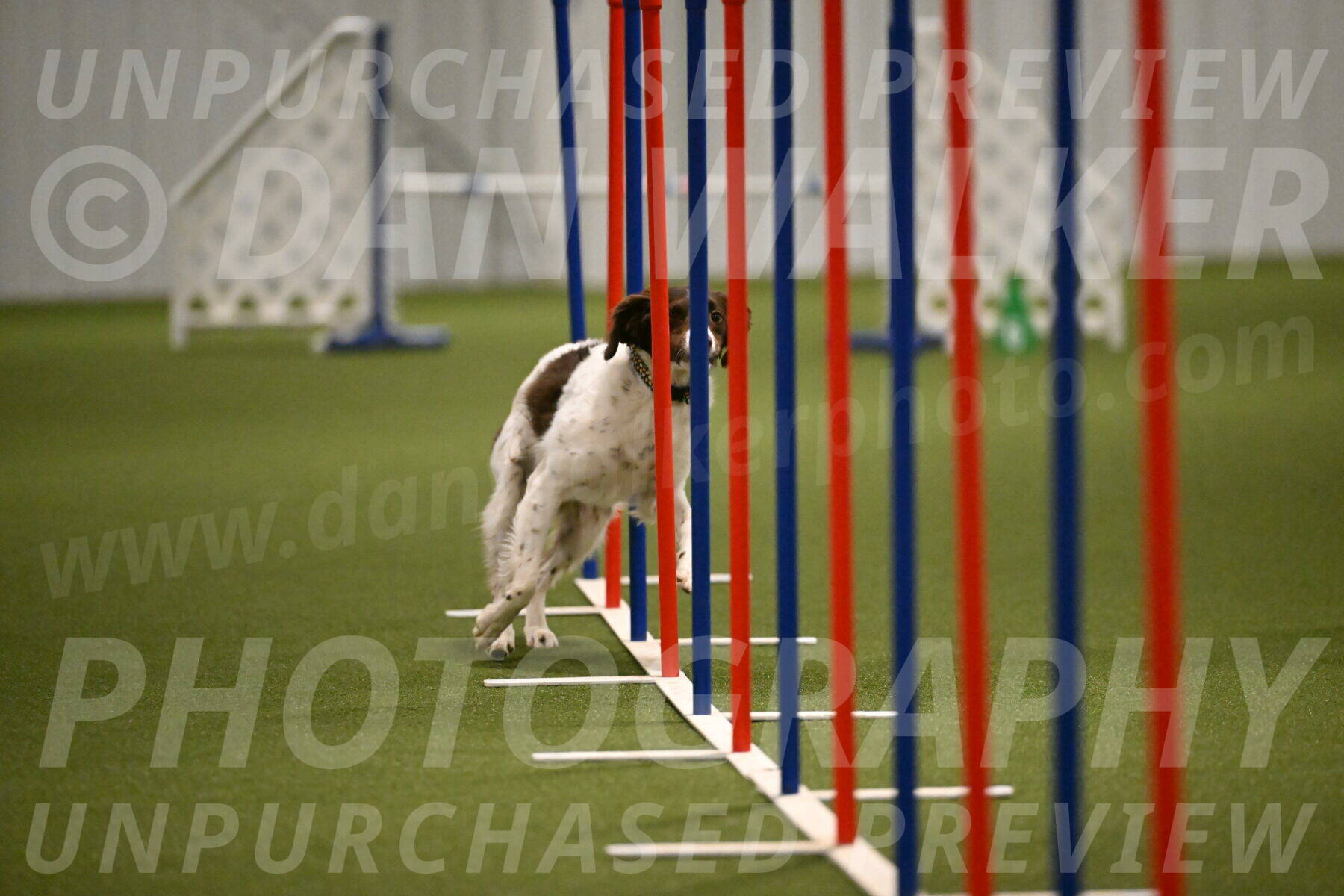 Karma-Sandy-and-Jeff-Crighton-03323