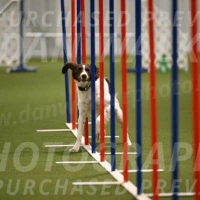 Karma-Sandy-and-Jeff-Crighton-03324