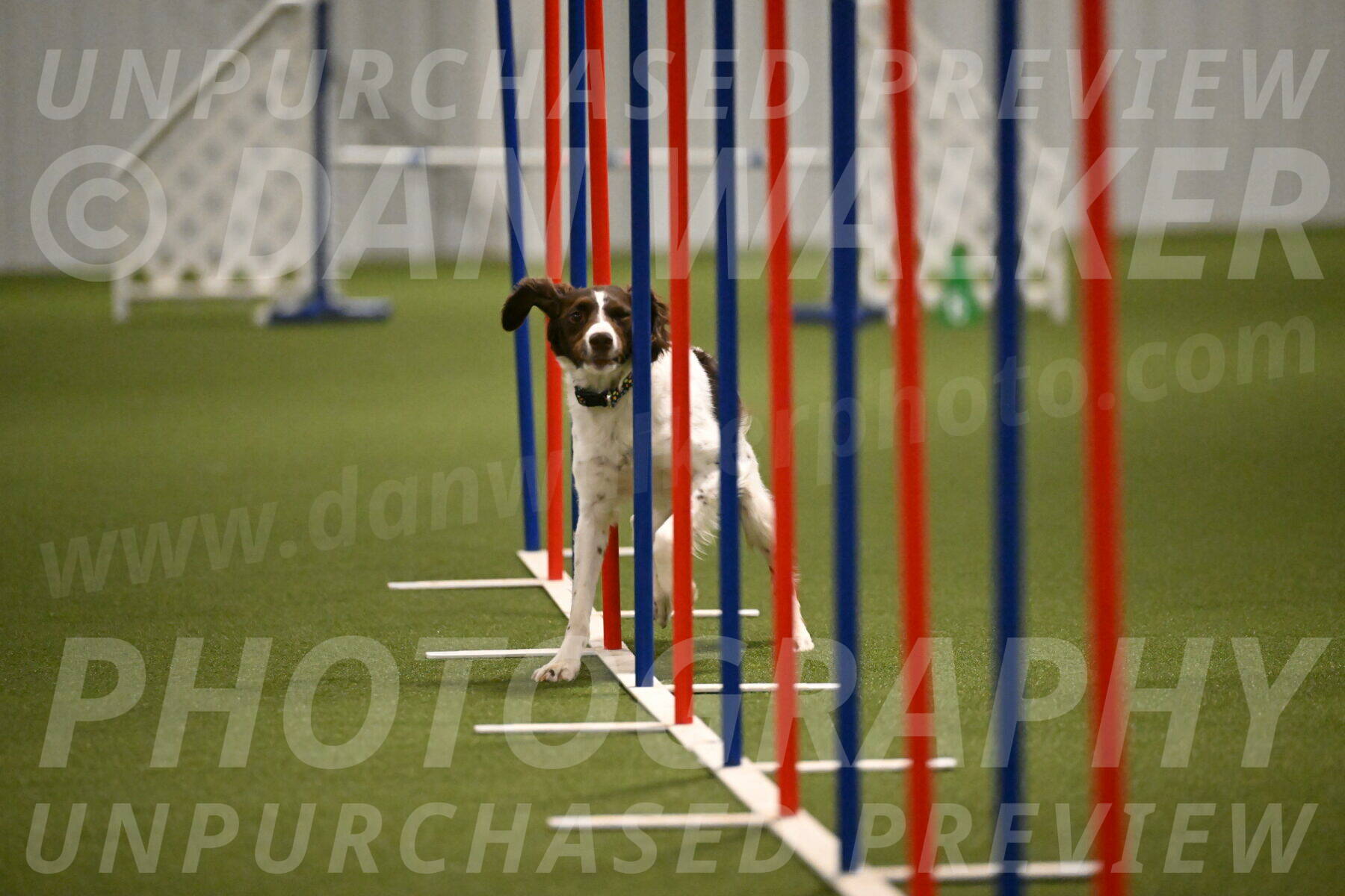 Karma-Sandy-and-Jeff-Crighton-03324