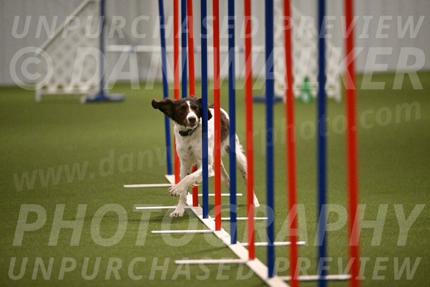 Karma-Sandy-and-Jeff-Crighton-03325