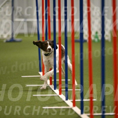 Karma-Sandy-and-Jeff-Crighton-03325