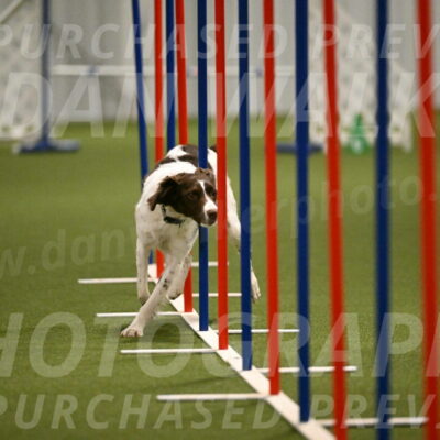 Karma-Sandy-and-Jeff-Crighton-03326