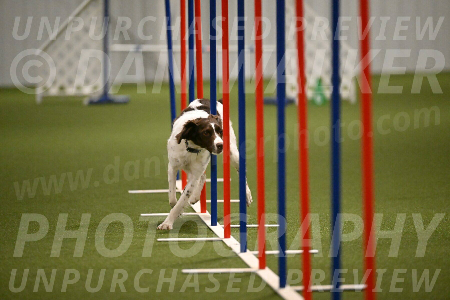 Karma-Sandy-and-Jeff-Crighton-03326