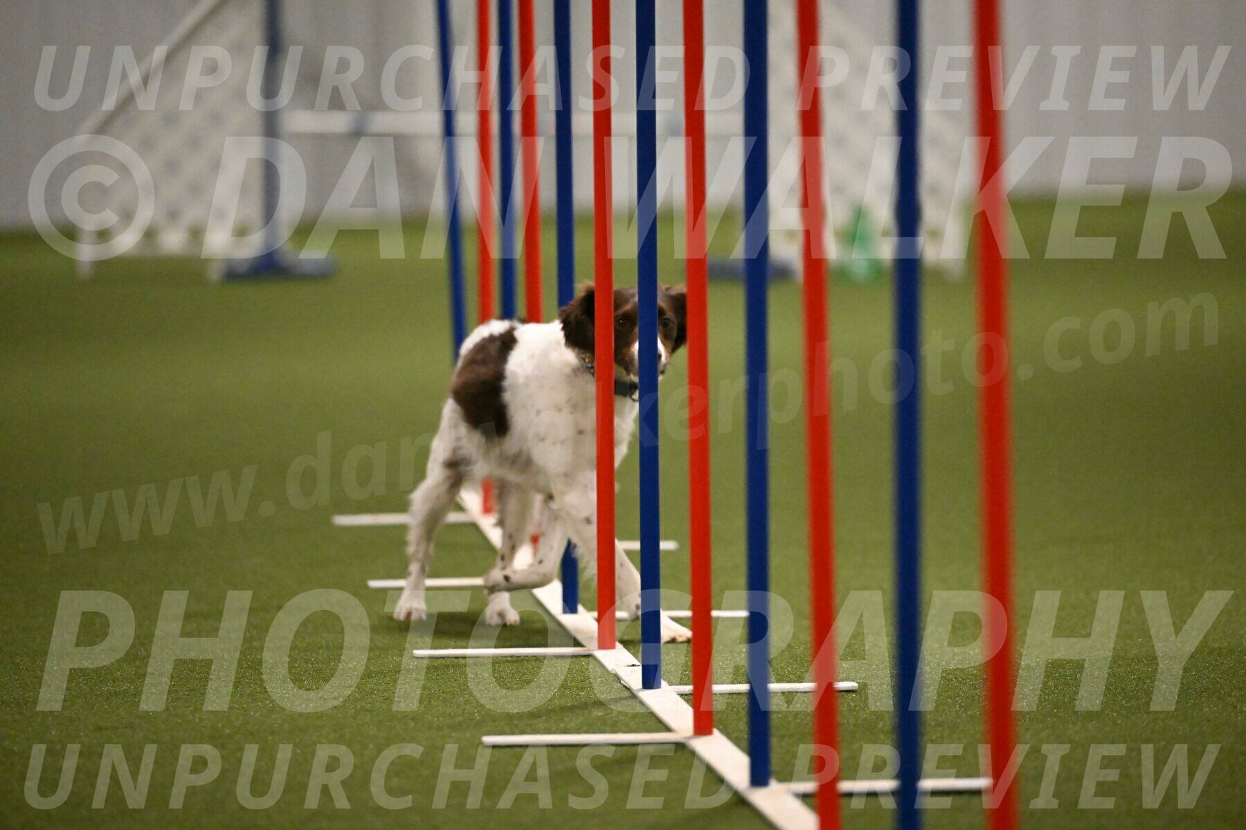 Karma-Sandy-and-Jeff-Crighton-03327