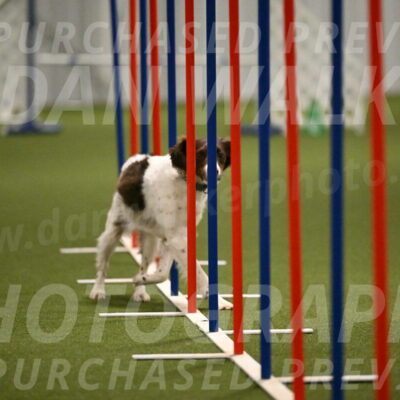 Karma-Sandy-and-Jeff-Crighton-03327