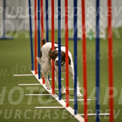 Karma-Sandy-and-Jeff-Crighton-03328