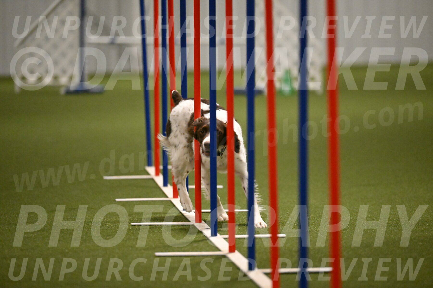 Karma-Sandy-and-Jeff-Crighton-03328