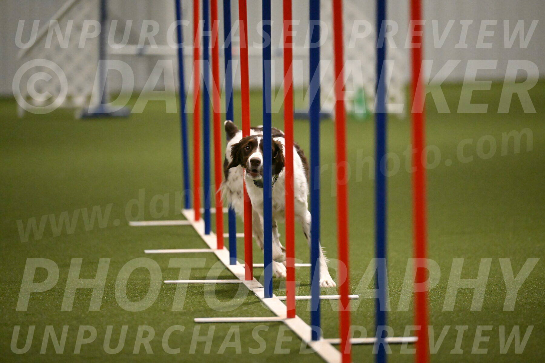 Karma-Sandy-and-Jeff-Crighton-03329