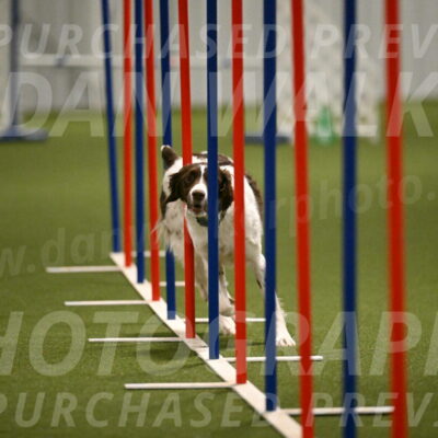 Karma-Sandy-and-Jeff-Crighton-03329