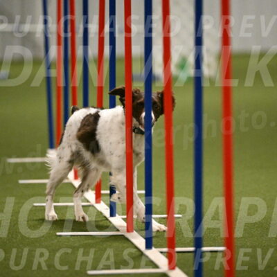 Karma-Sandy-and-Jeff-Crighton-03330