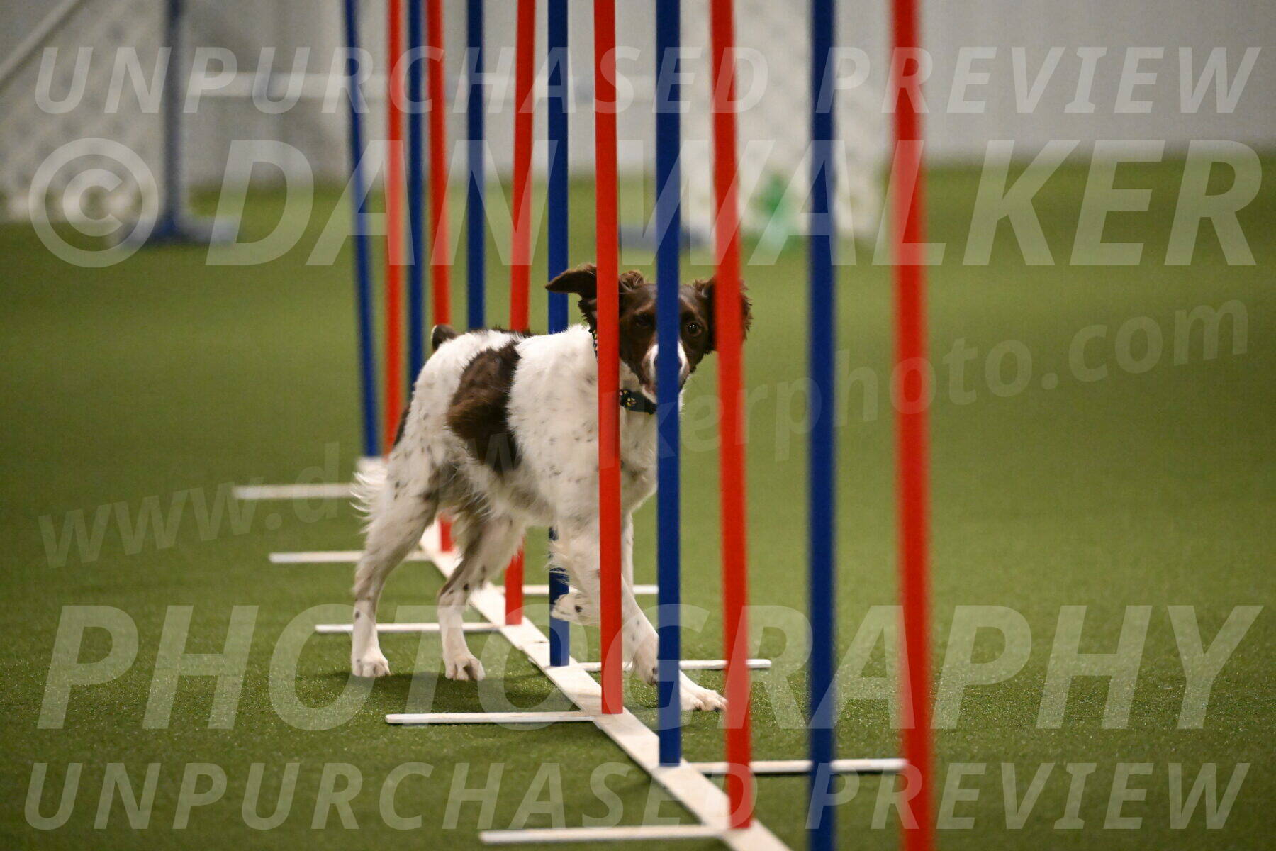 Karma-Sandy-and-Jeff-Crighton-03330