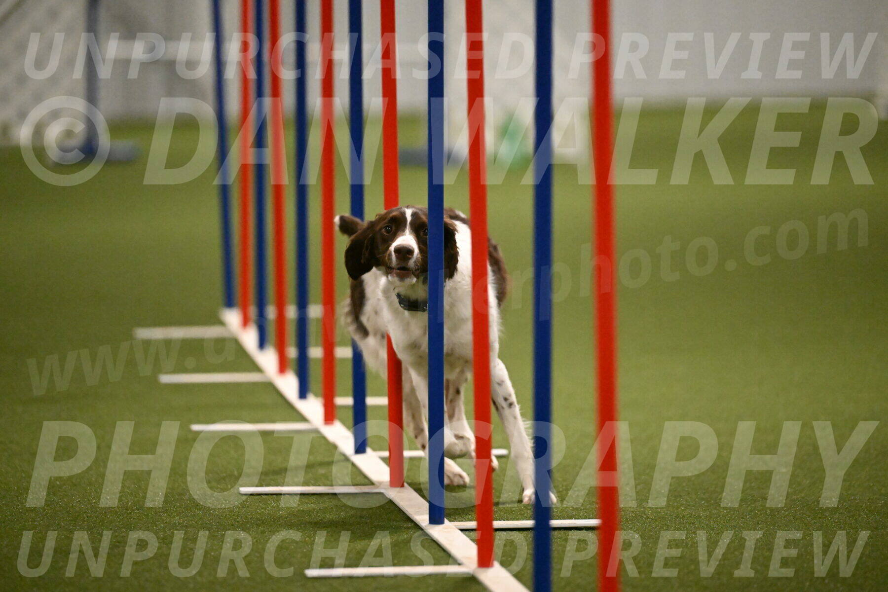 Karma-Sandy-and-Jeff-Crighton-03331