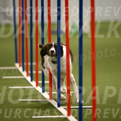 Karma-Sandy-and-Jeff-Crighton-03331