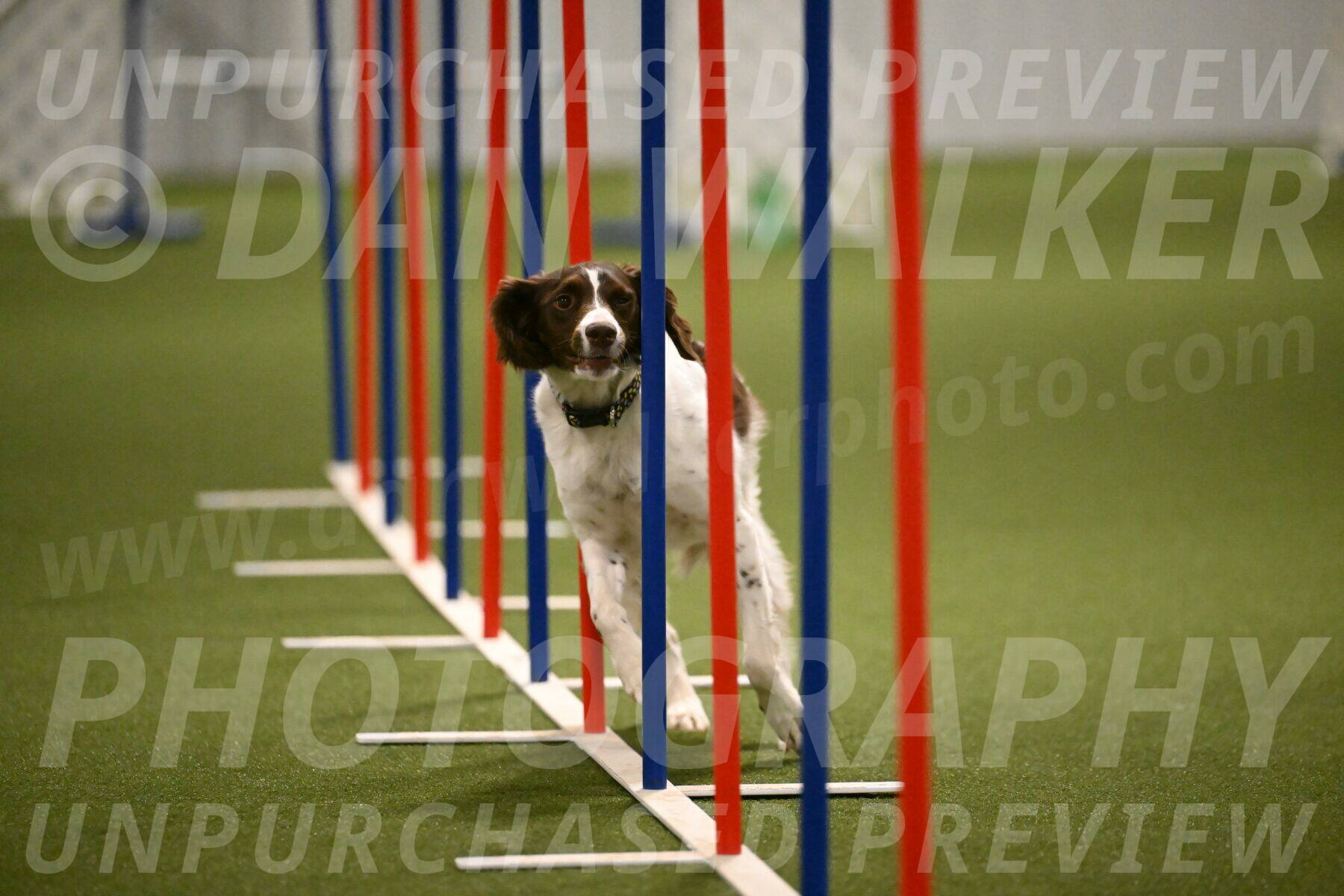 Karma-Sandy-and-Jeff-Crighton-03332