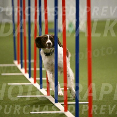 Karma-Sandy-and-Jeff-Crighton-03332