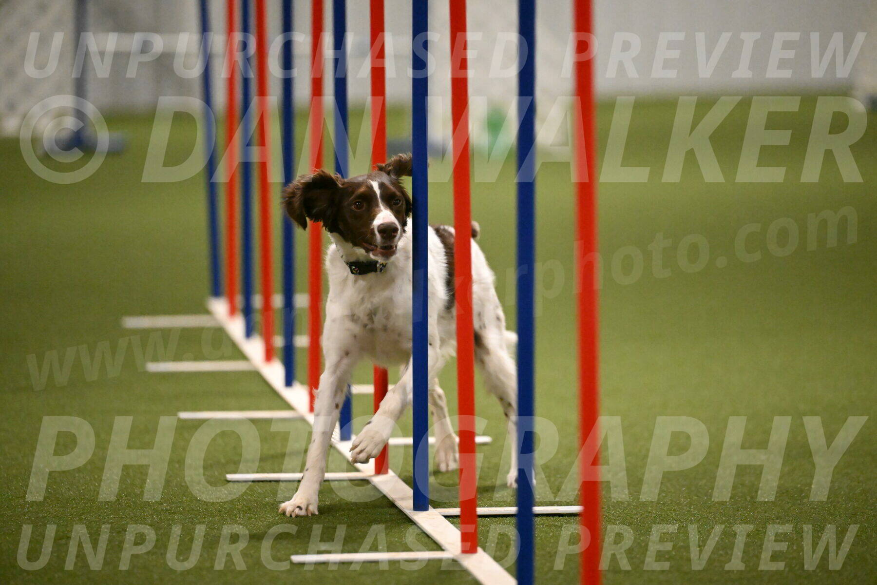 Karma-Sandy-and-Jeff-Crighton-03333