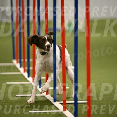 Karma-Sandy-and-Jeff-Crighton-03333