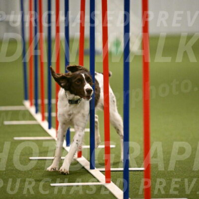 Karma-Sandy-and-Jeff-Crighton-03334