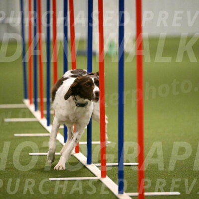 Karma-Sandy-and-Jeff-Crighton-03335