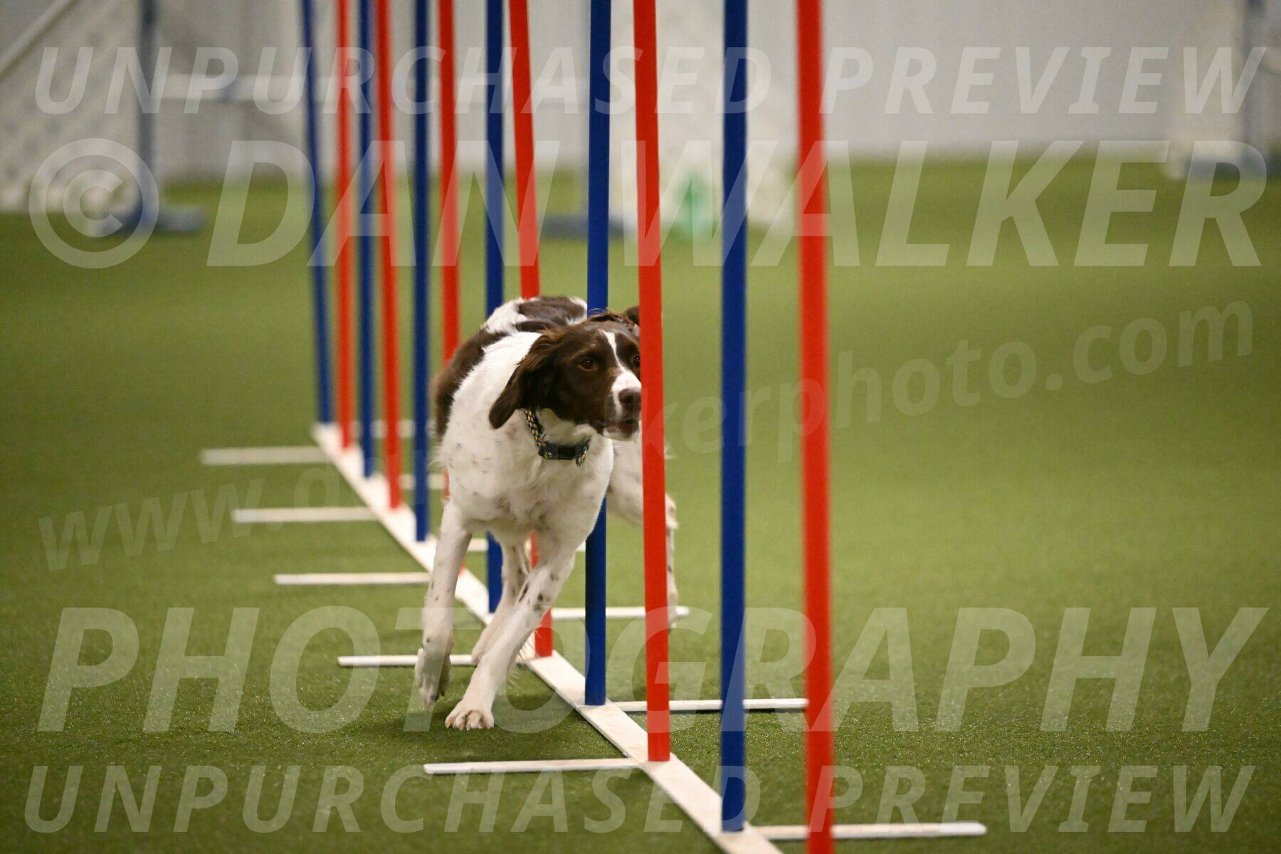 Karma-Sandy-and-Jeff-Crighton-03335