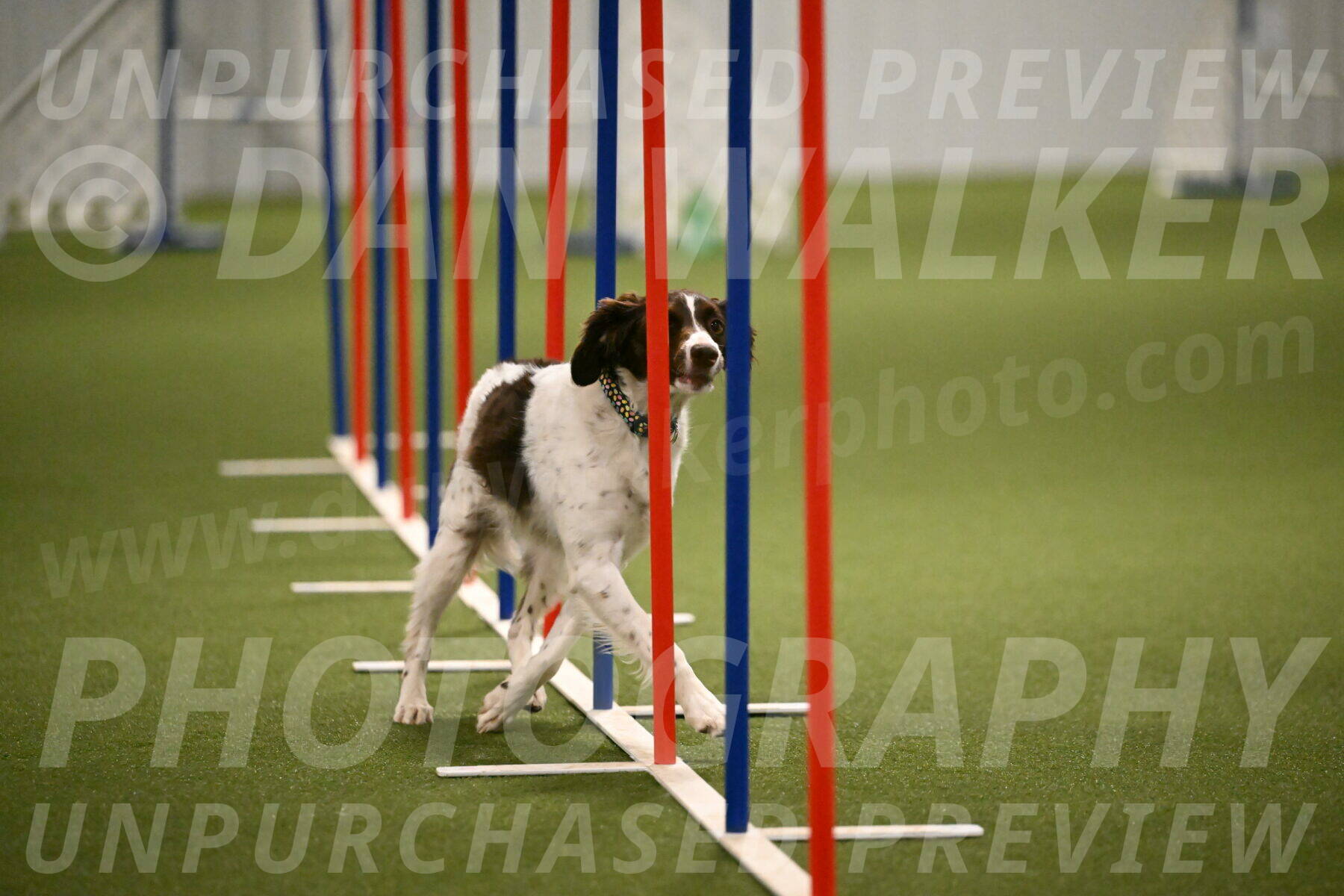 Karma-Sandy-and-Jeff-Crighton-03336