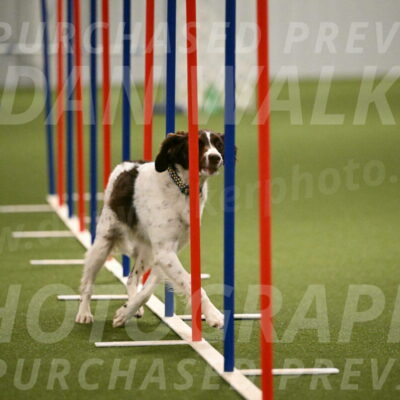 Karma-Sandy-and-Jeff-Crighton-03336