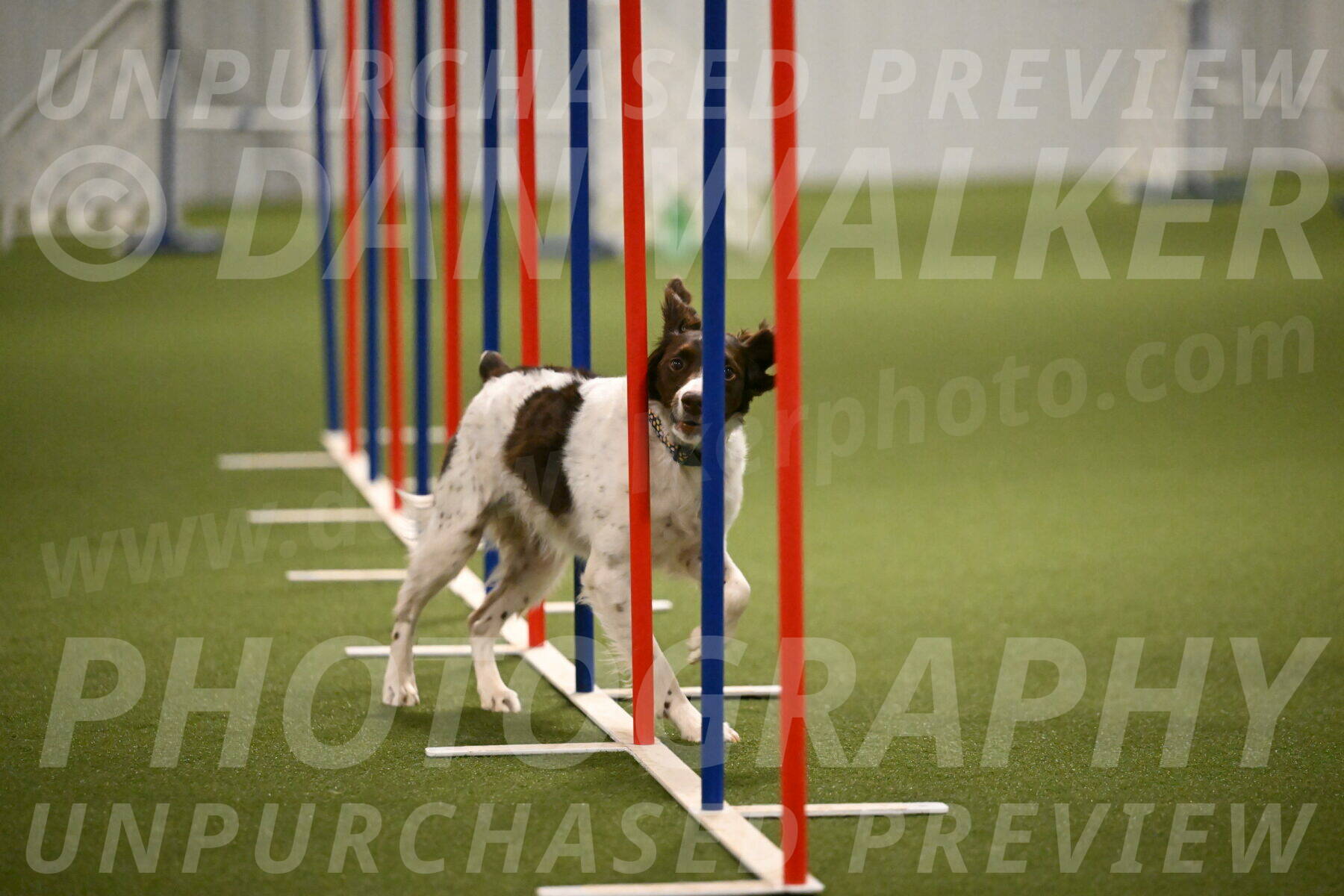 Karma-Sandy-and-Jeff-Crighton-03337