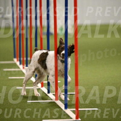 Karma-Sandy-and-Jeff-Crighton-03337