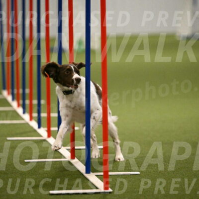 Karma-Sandy-and-Jeff-Crighton-03338