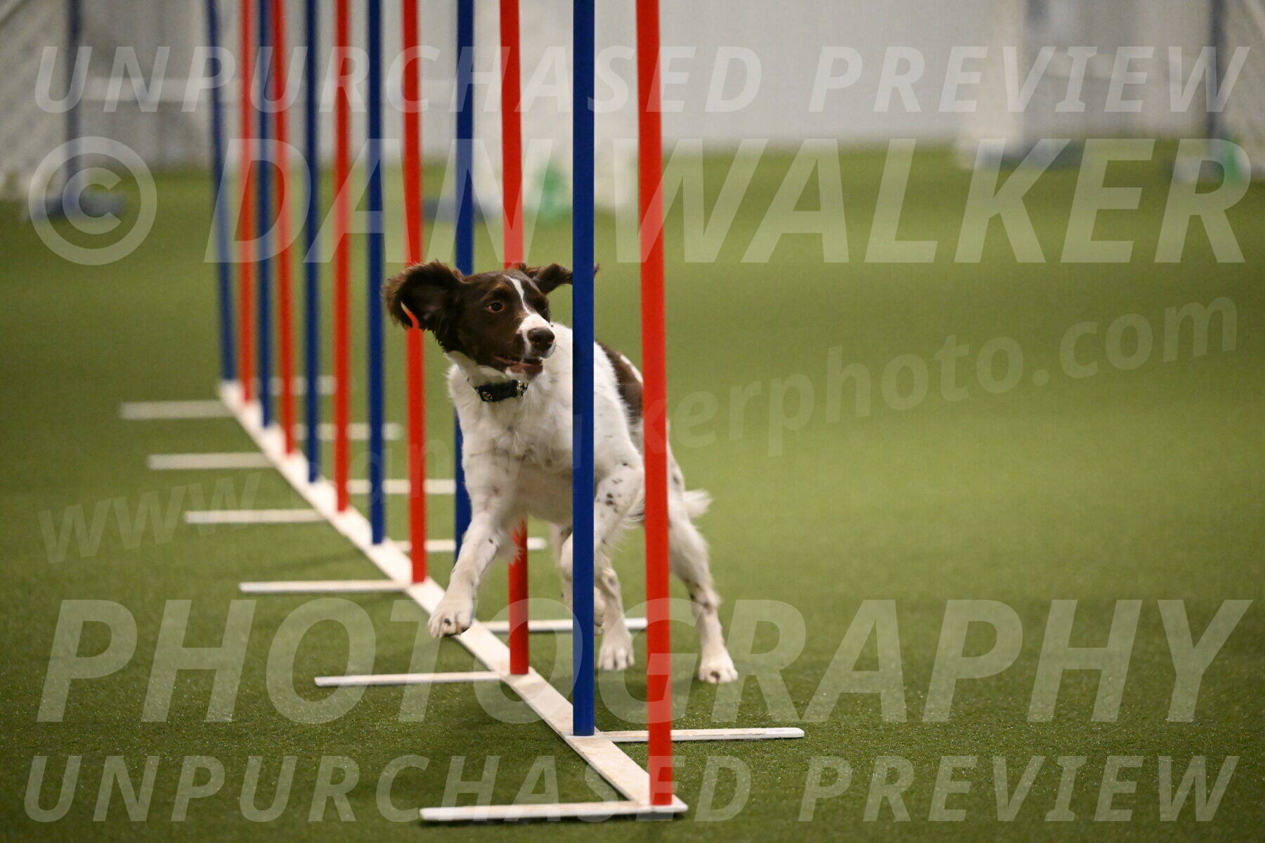 Karma-Sandy-and-Jeff-Crighton-03338