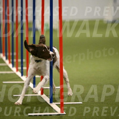 Karma-Sandy-and-Jeff-Crighton-03339