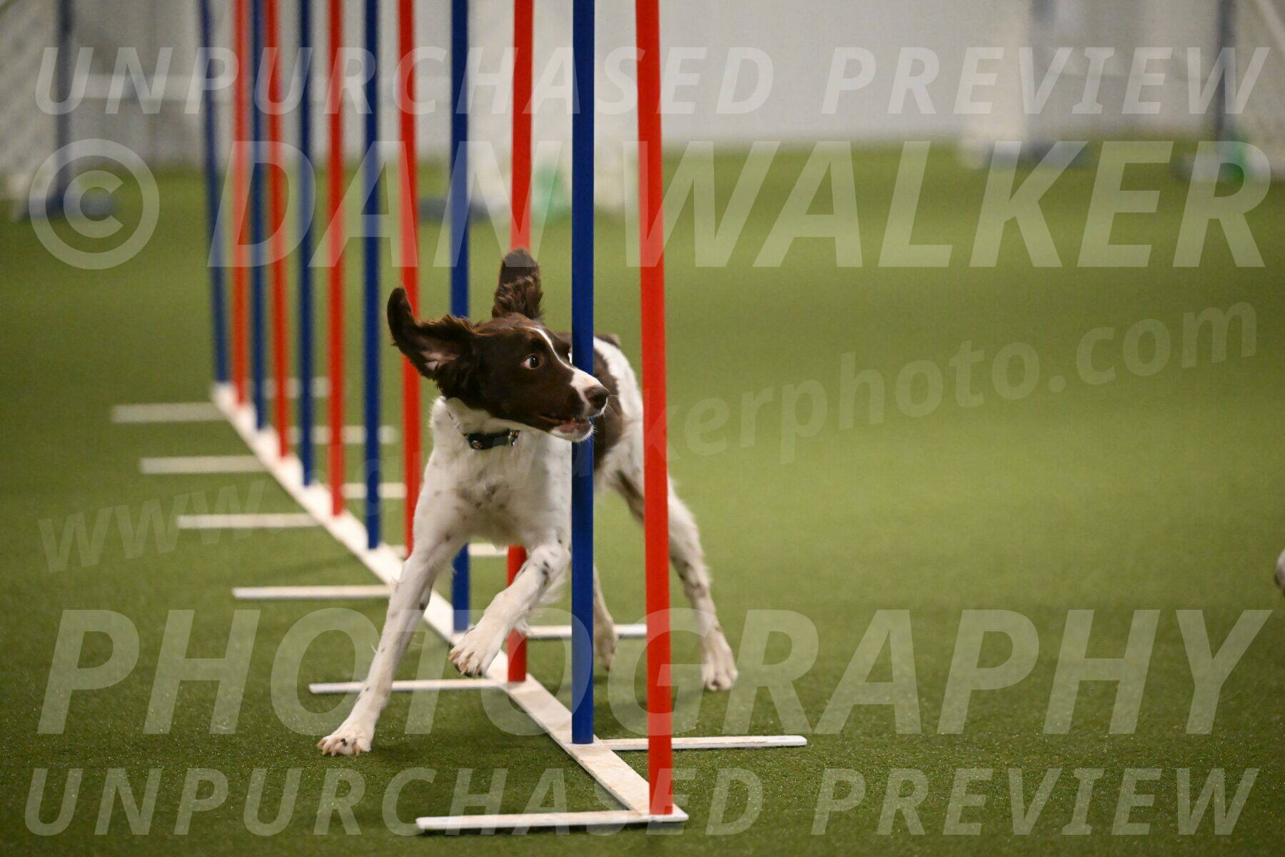 Karma-Sandy-and-Jeff-Crighton-03339