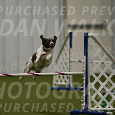 Karma-Sandy-and-Jeff-Crighton-03340