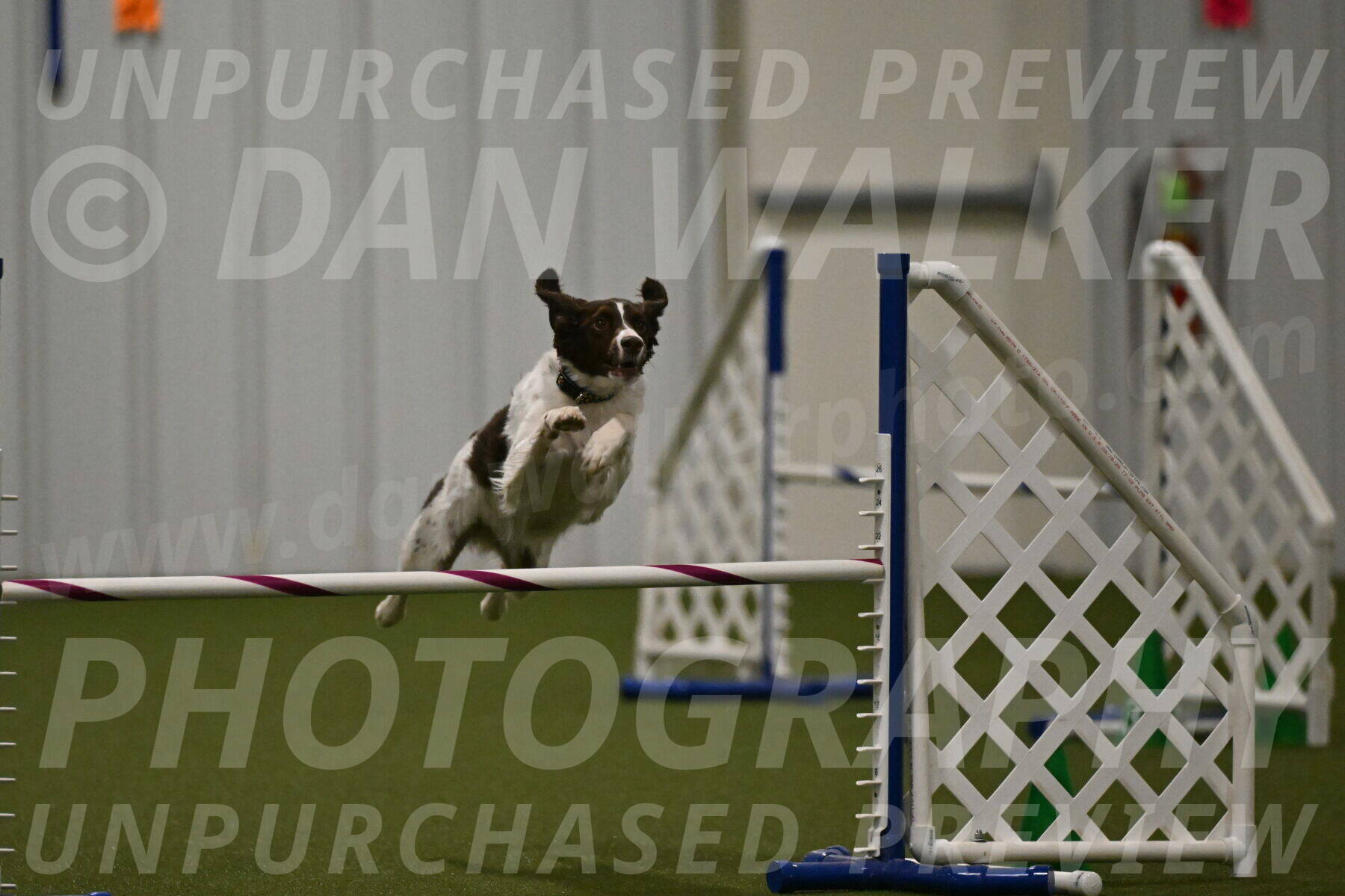 Karma-Sandy-and-Jeff-Crighton-03340