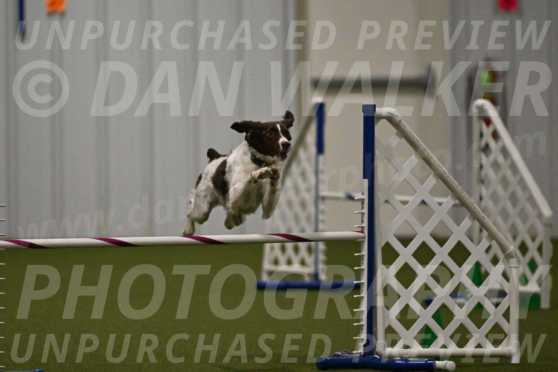 Karma-Sandy-and-Jeff-Crighton-03341