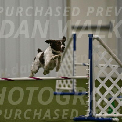 Karma-Sandy-and-Jeff-Crighton-03341