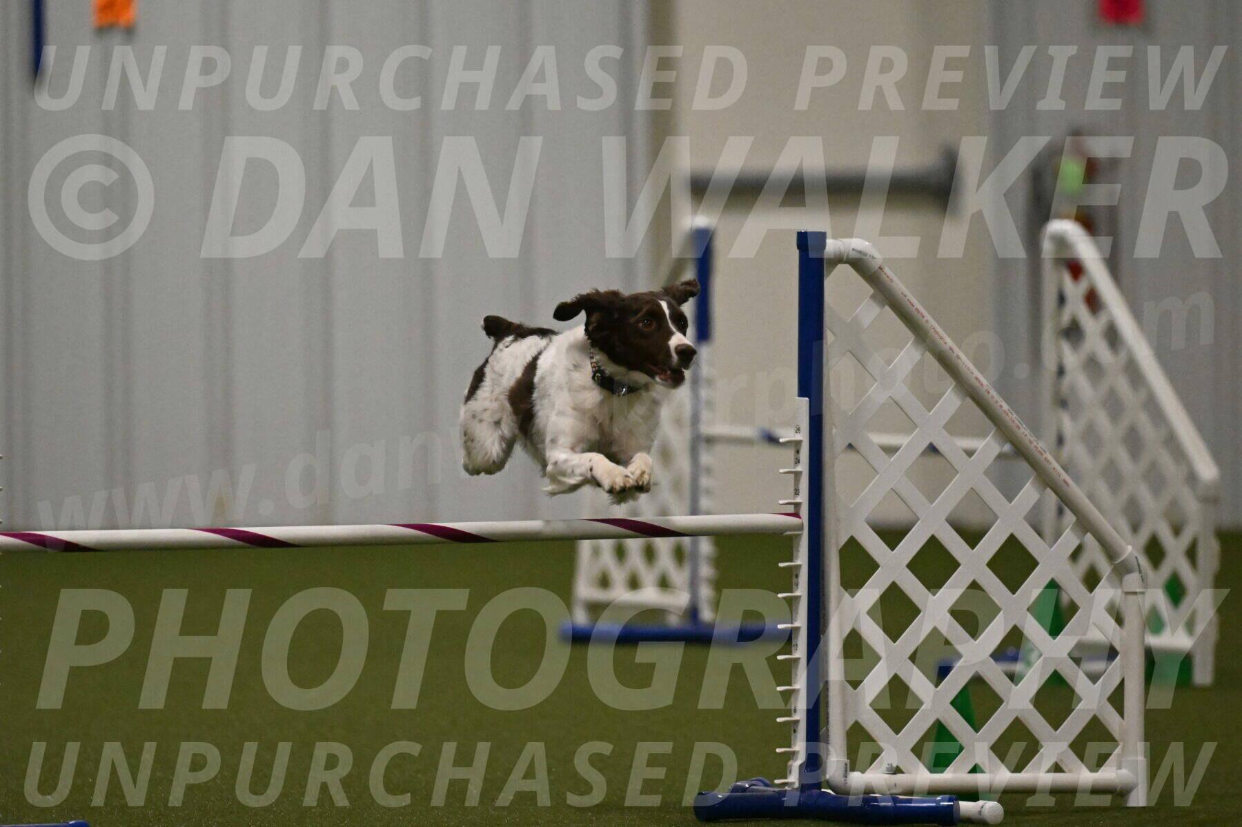 Karma-Sandy-and-Jeff-Crighton-03342